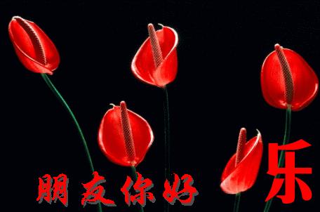 4月1日愚人节的祝福语,4.1日愚人节怎么来的