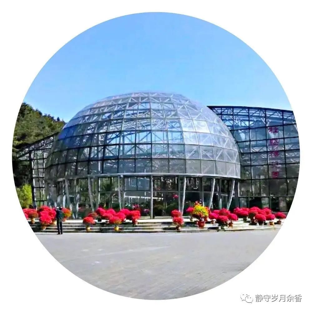 情满龟峰·诗涌花海