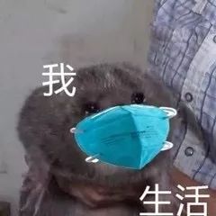 独播在线免费观看,独播忍痛开会员