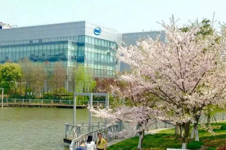 50而知天命的英特尔，还会是技术直男们的职业首选吗？