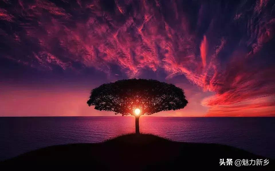 摄影构图技巧人像氛围感,怎么从摄影角度说明构图