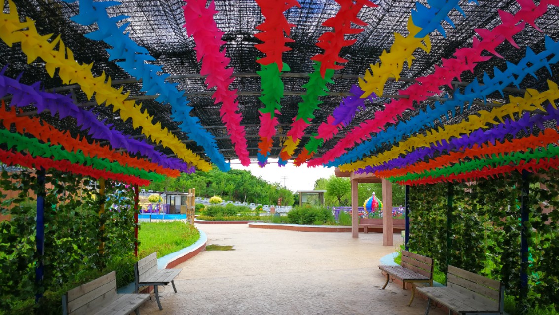 体验九华山,九华体验