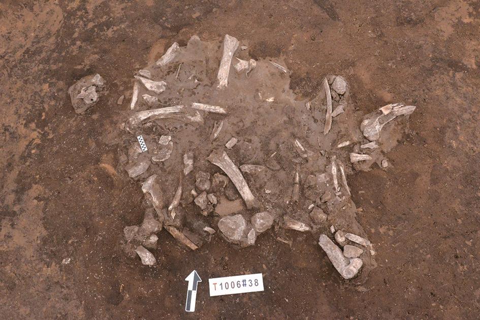 八千多年前的兴隆遗址,河北史前遗址