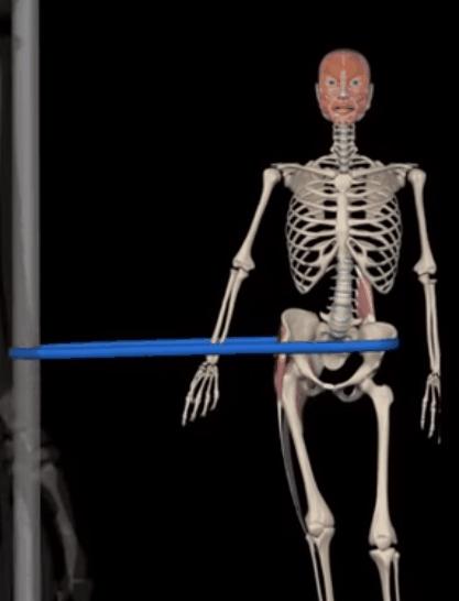 体态骨盆后倾怎么办,体态骨盆倾斜怎么矫正