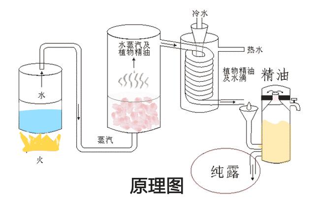 天然护肤纯露,纯露护肤真的有用吗