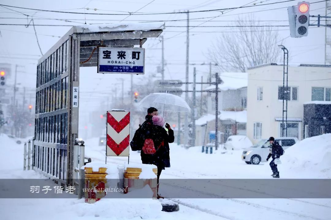 不会日语日本自由行好吗,不会日语的北海道自由行攻略
