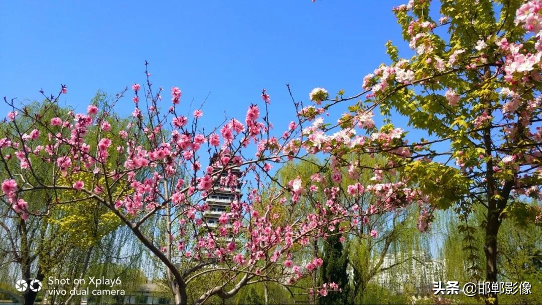 临漳七子湖的传说,临漳七子湖以前是什么样子的