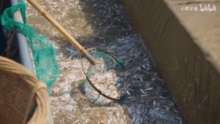 被苏州抢去风头的浙北冷门小县城，其实暗藏着一个美食江湖