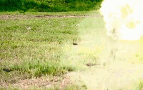 张卫健tvb演过的剧,tvb新剧即将播