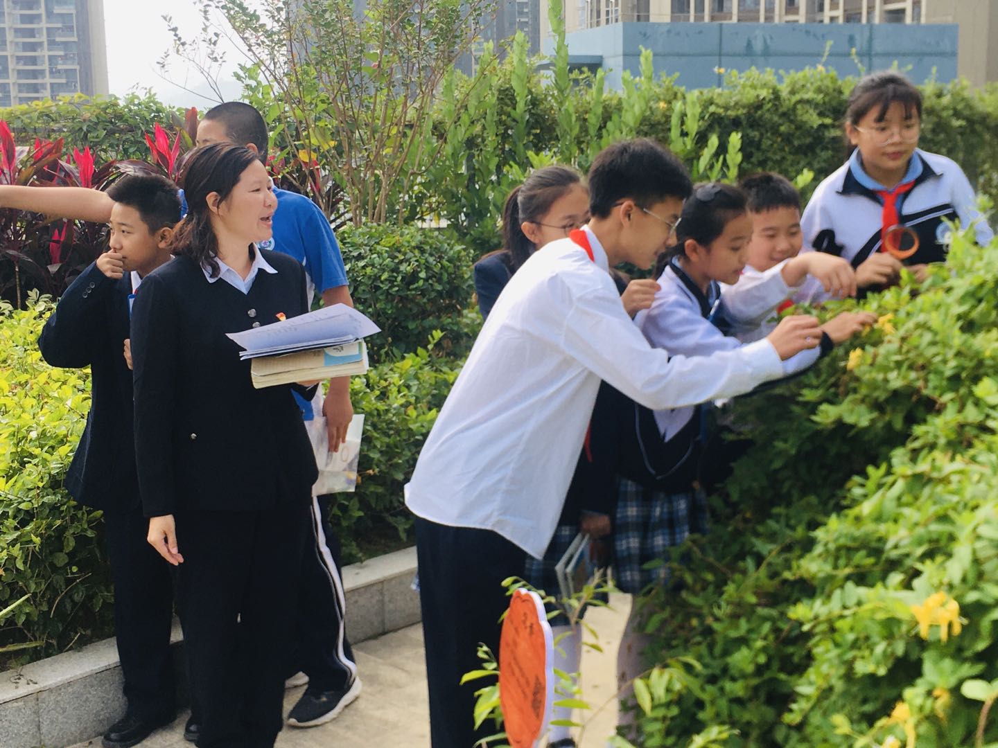 “匠心独运，返璞归真”——深圳市坪山区中山中学教育纪实