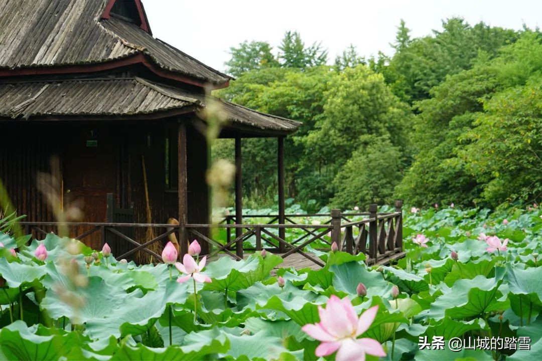 常熟沙家浜旅游攻略,苏州常熟沙家浜