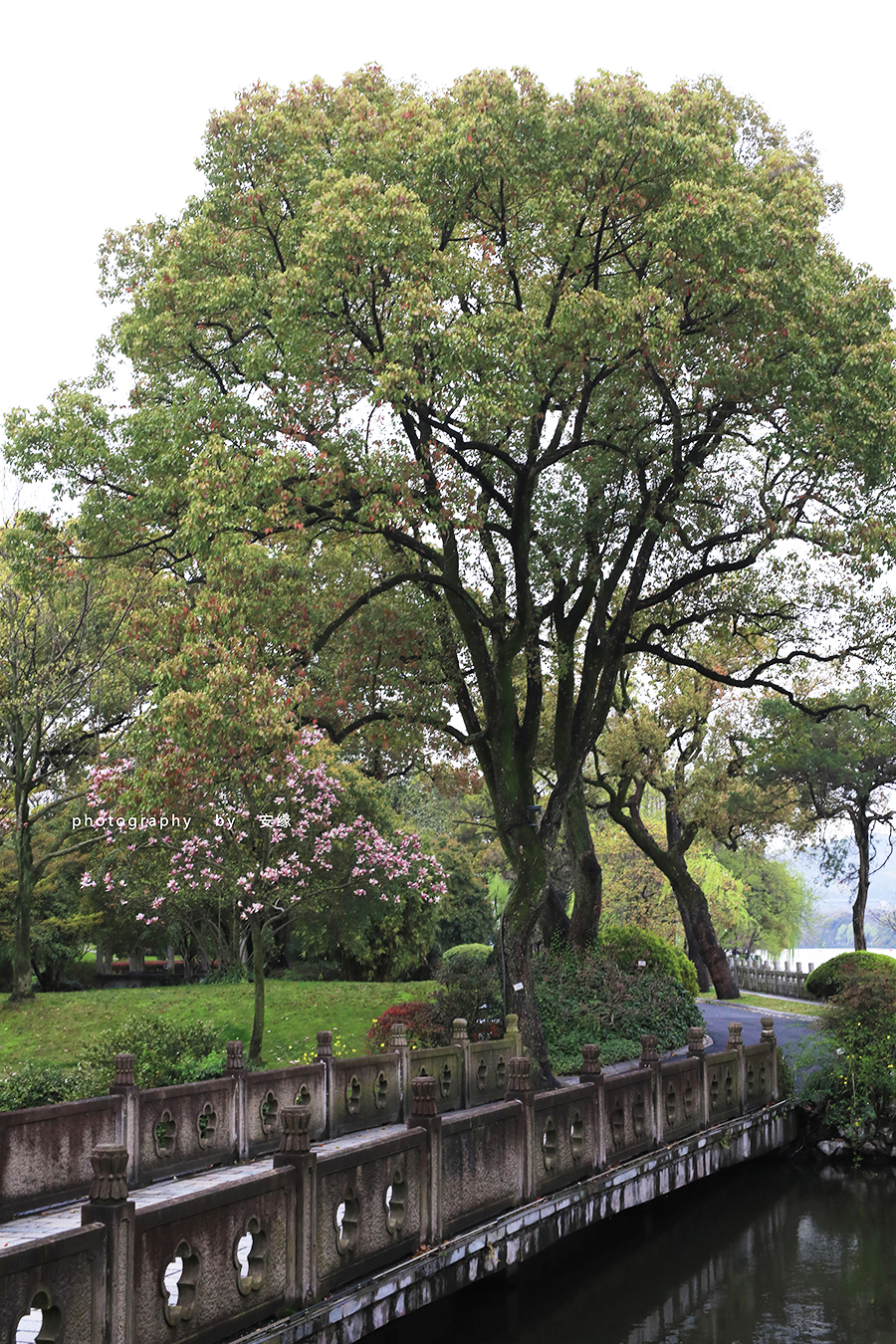 西湖国宾馆享誉中外,西湖国宾馆的前世今生