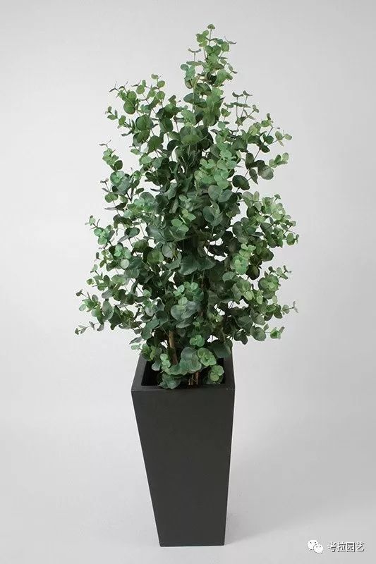 大地的恩赐图片,大地的馈赠是大天域吗