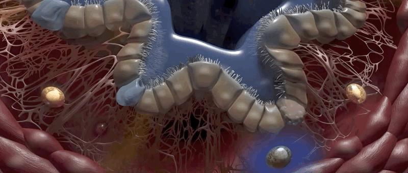 哮喘过敏症的症状,呼吸道过敏哮喘症状