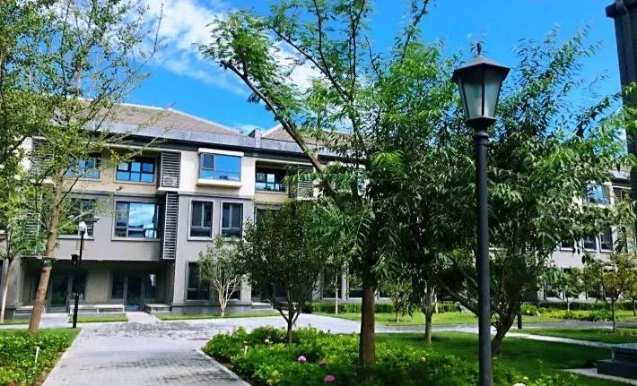 朝阳热门学区,教育洼地如何实现逆袭