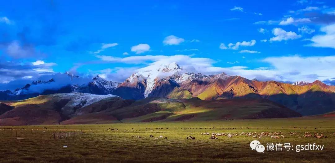 德方纳米估值,德方纳米股价合理区间