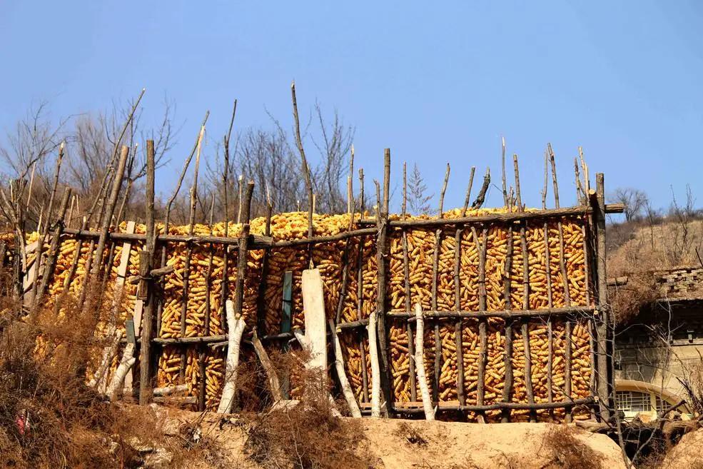 方言歇后语徐州,徐州骂人歇后语