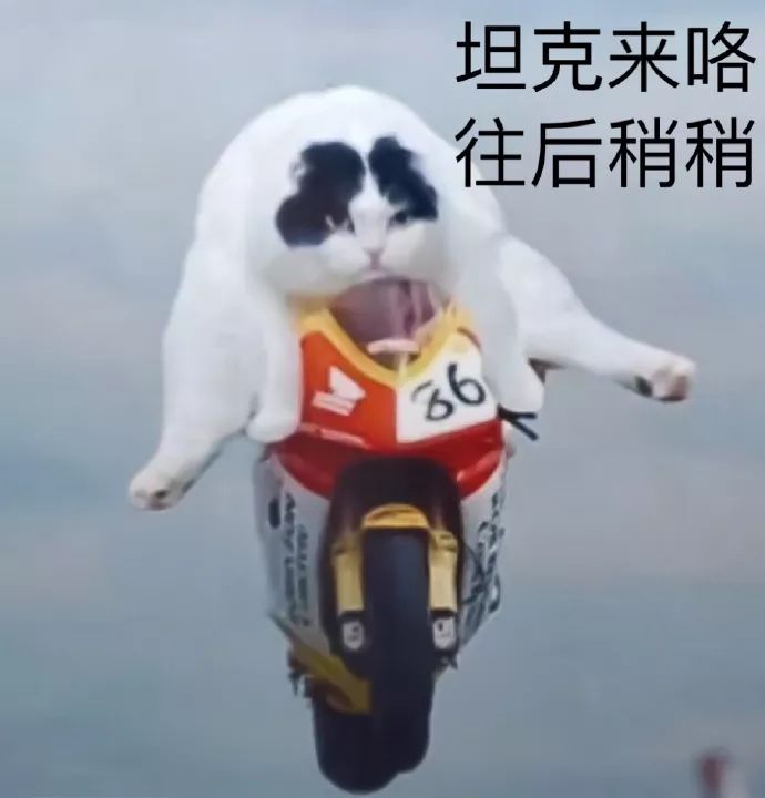 均价不超过十元的店铺,均价不超过10块钱的国货