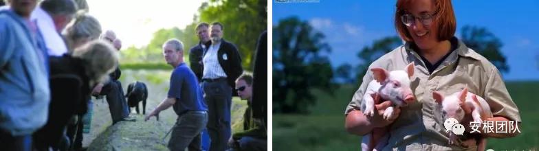 茶人学习:欧洲国家农民合作社融资实践