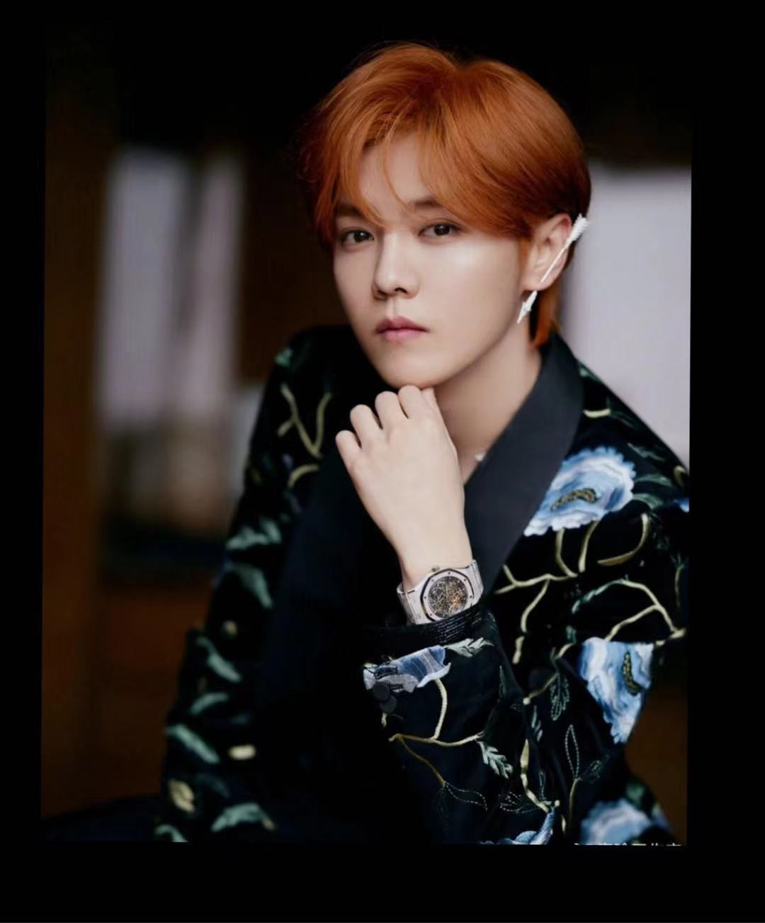 鹿晗珠宝活动 (鹿晗2017七夕)