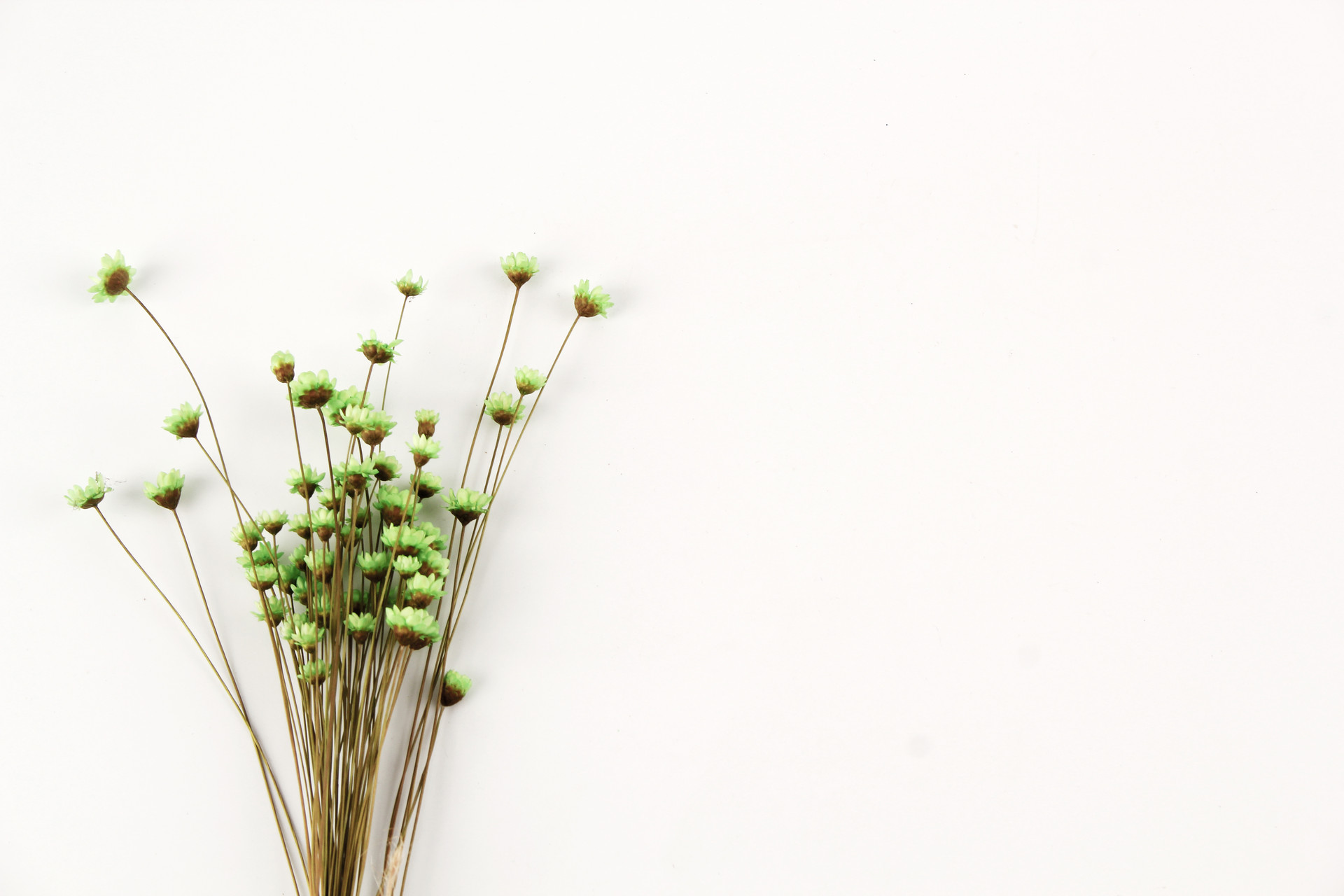 成大事之人必经人生之苦,不经历人生低谷怎么懂得人情世故