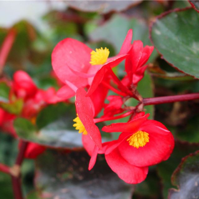 阳台散文随笔,散文阳台