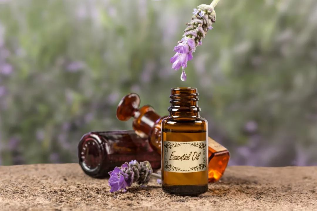 女生都爱用的护肤品,女生都爱的护发精油