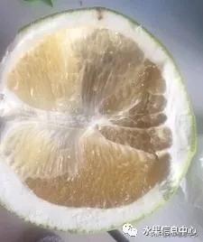 在网上买水果遇到假货怎么办,网上购买水果会被坑吗