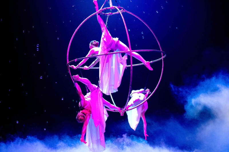 广州长隆野生动物世界旅游攻略,长隆野生动物世界攻略2-3天广州游