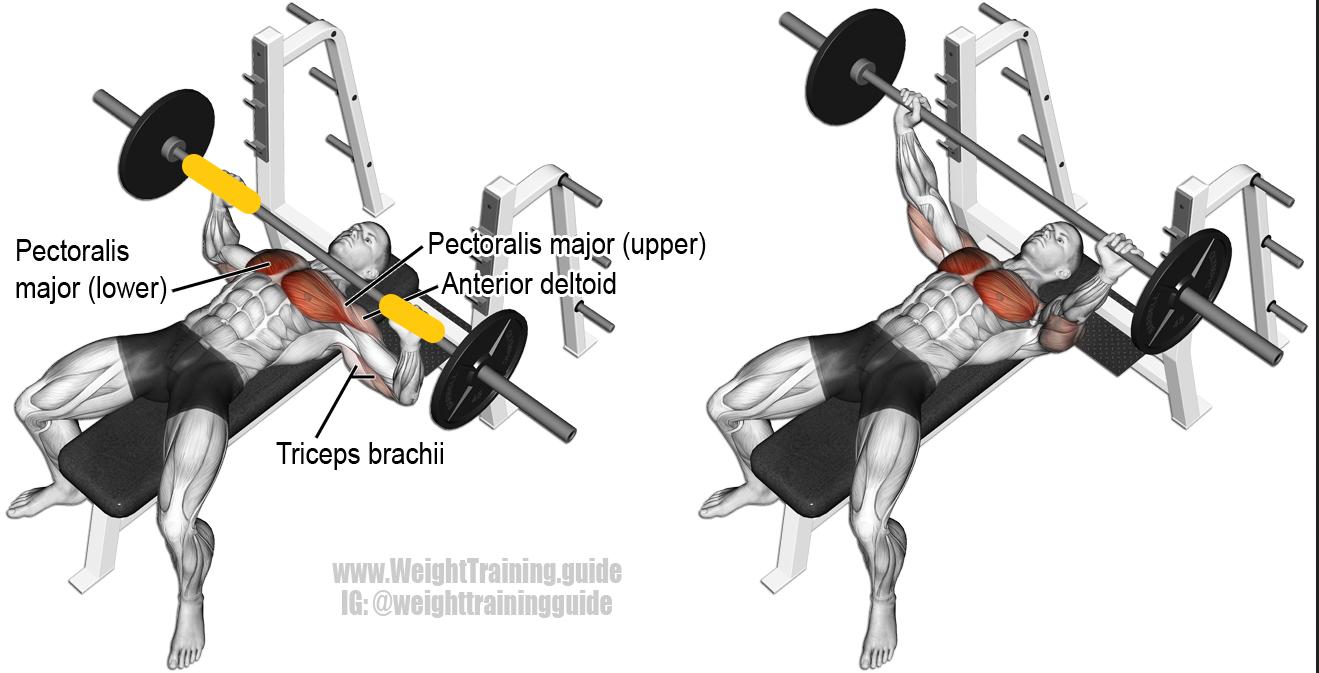 撸铁时关节响是什么原因,健身肩膀关节咔咔响还能继续练