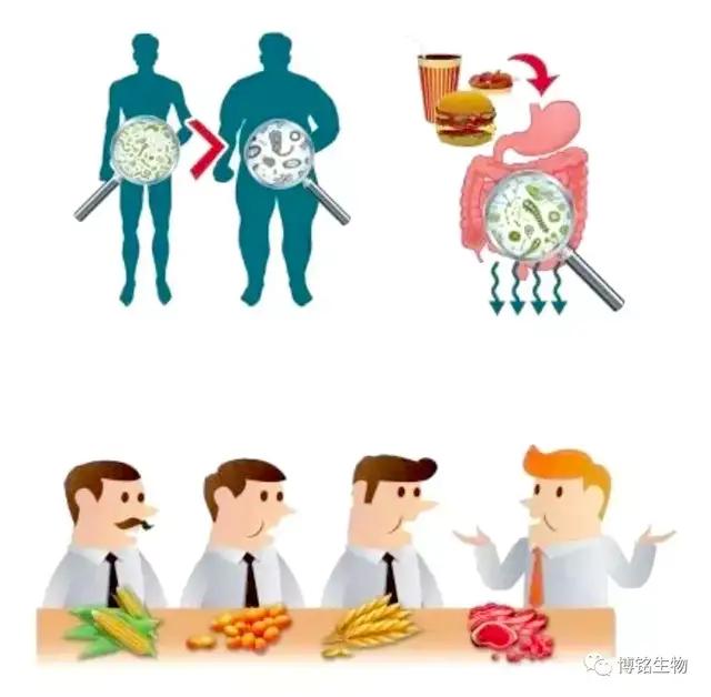 目前治疗二型糖尿病最前沿的方法,二型糖尿病20年的最佳治疗方法