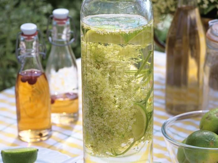 这9种花很常见可赏可吃可饮,秋天可以吃的十种花