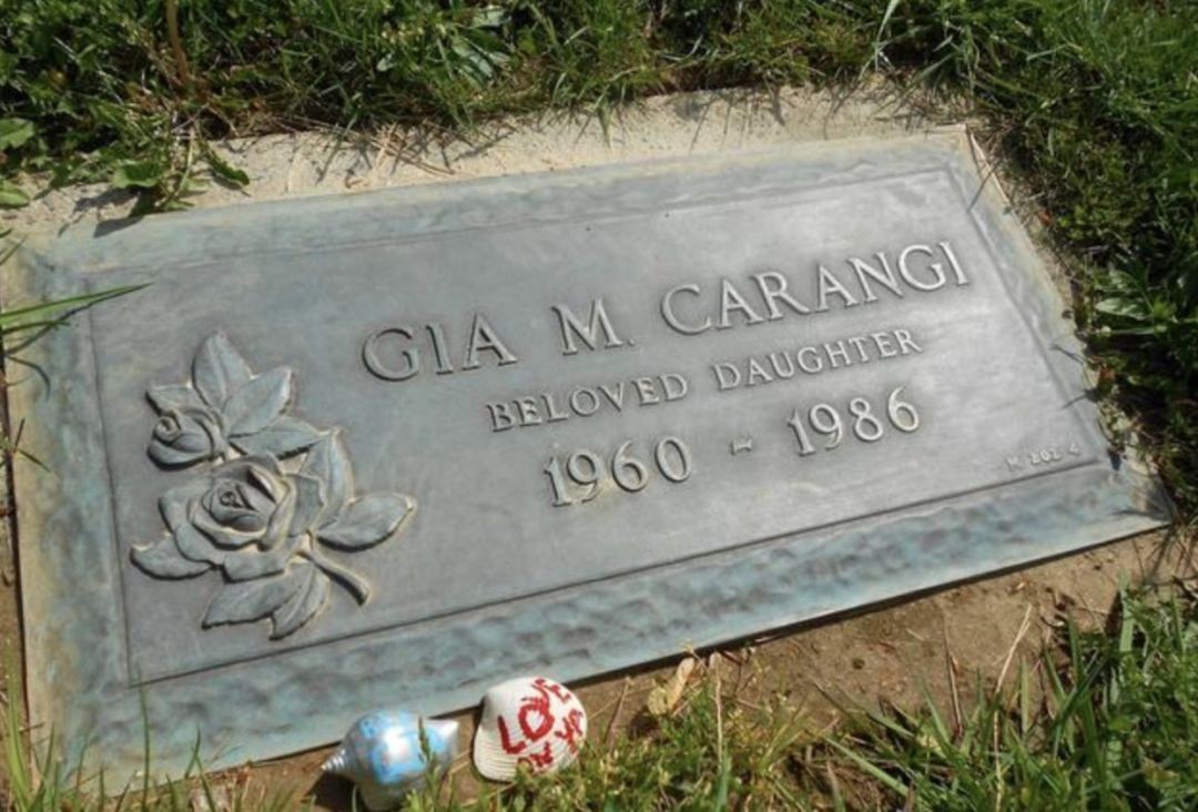 世界第一女超模吸毒 (世界第一超模吸毒)