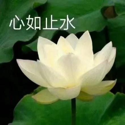 美国留学工资高的大学排名,就业率高的美国大学