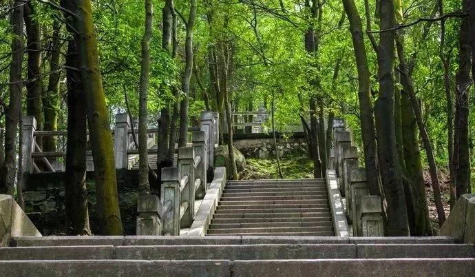 深圳最美最有人气的公园在哪里,深圳最好的十个景区