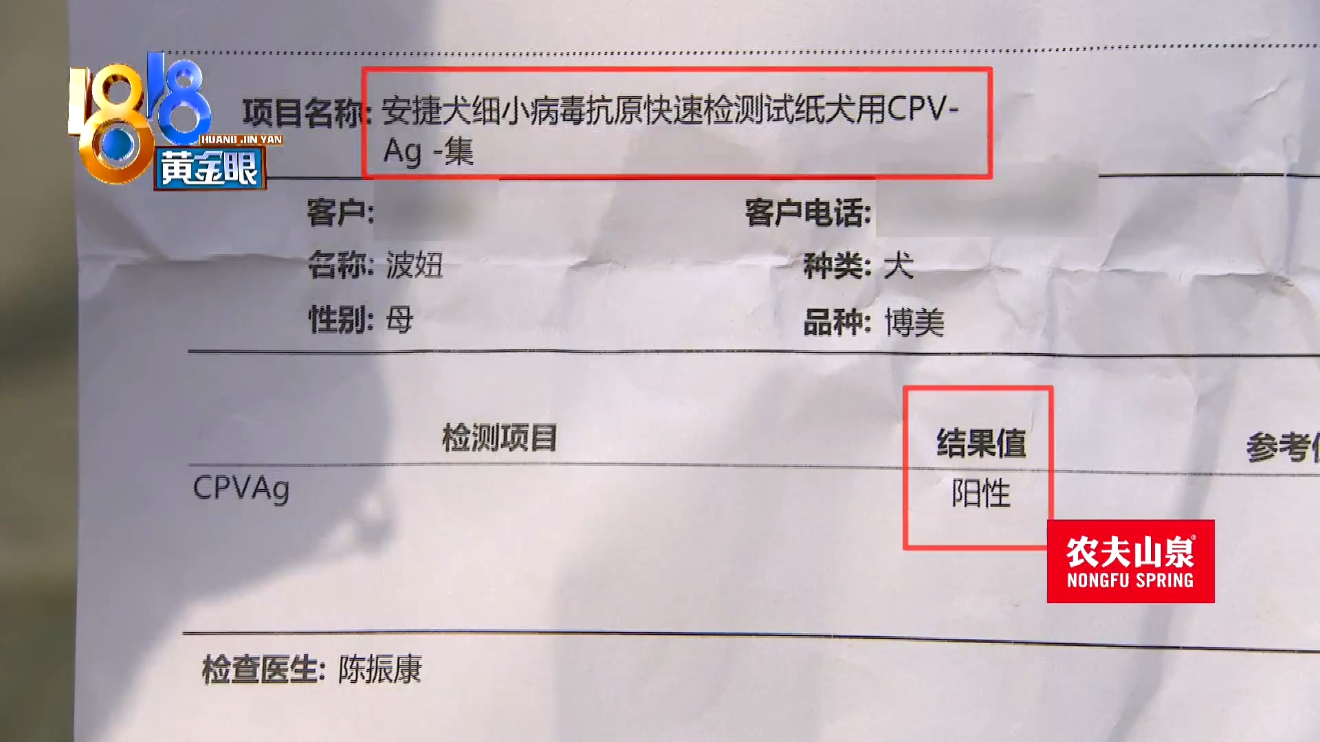 刚买10天不到的小狗被炖了,买来三天小狗就腿站不直了