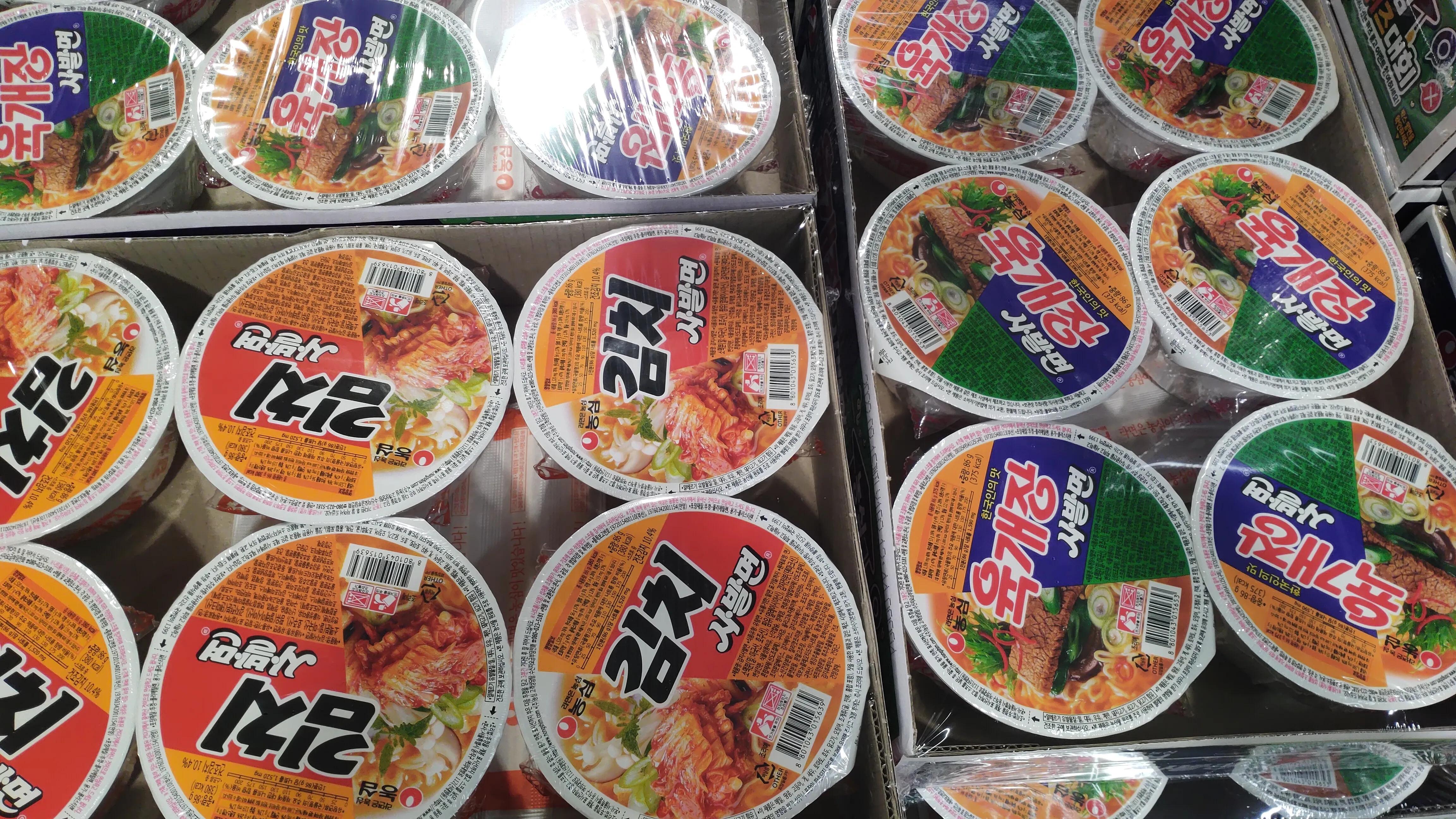 首尔layered咖啡,首尔很多萨摩耶的地方