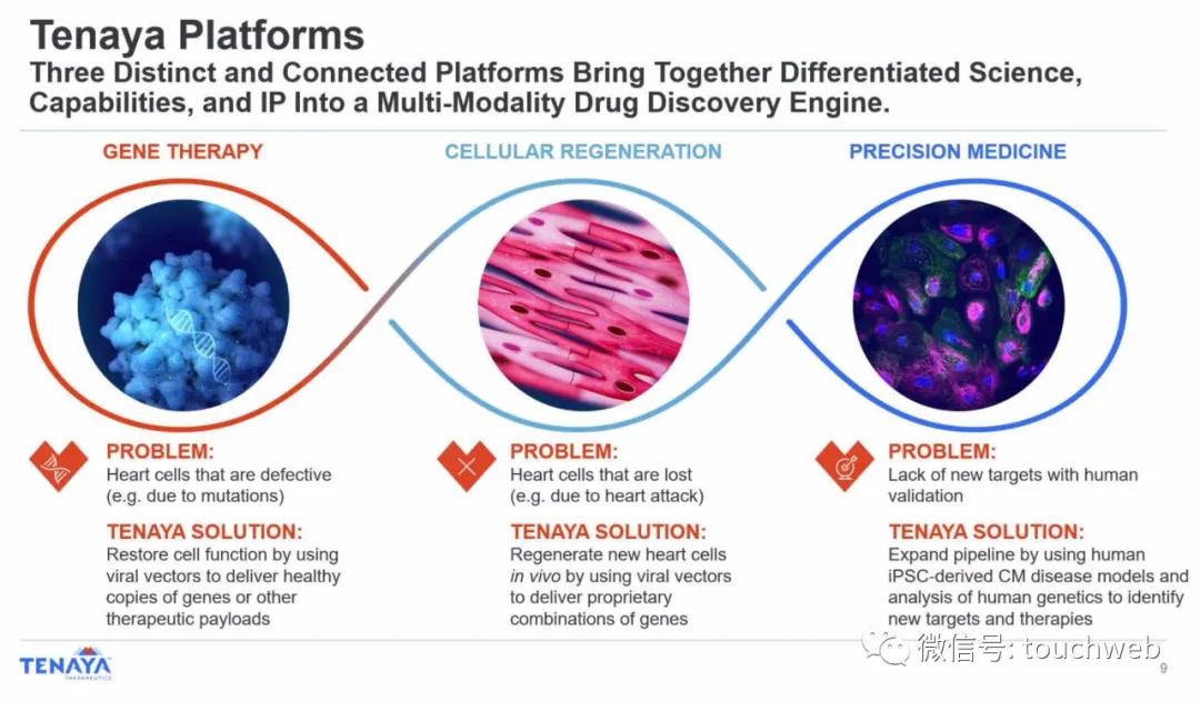 基因疗法相关上市公司,tenaris公司