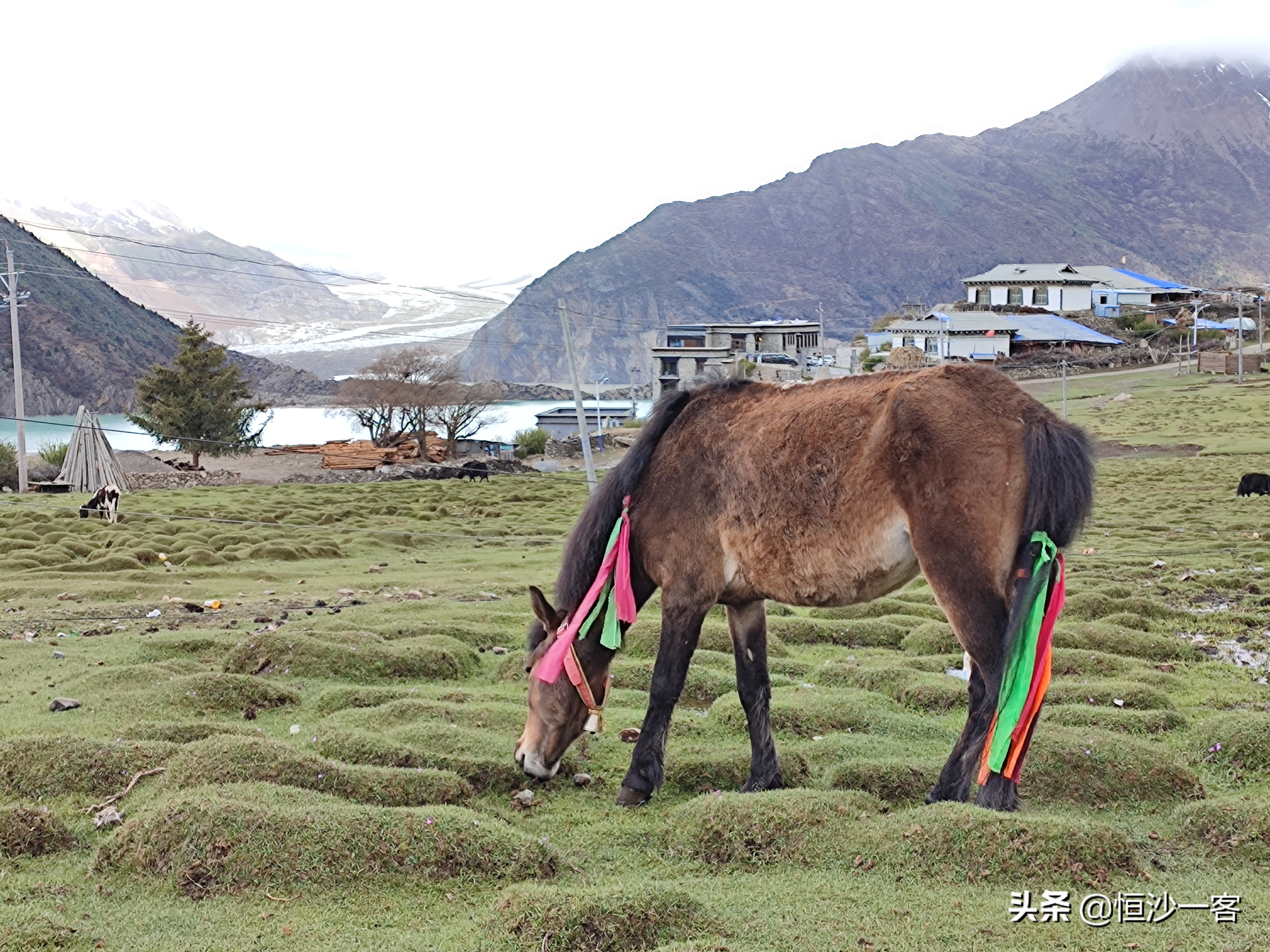 来古村徒步到冰川,来古村来古冰川旅行攻略