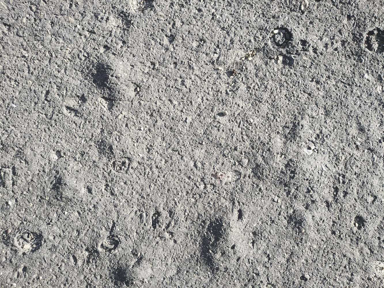 设计师福利模板,设计师必备100件用品