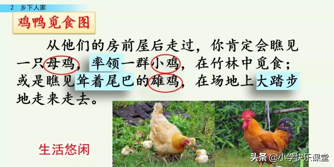 部编四年级下册语文乡下人家练习,部编版四年级下乡下人家同步练习