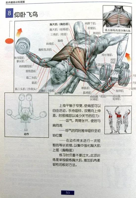 男士居家健身30分钟全身训练,男士健身保健操40至50岁