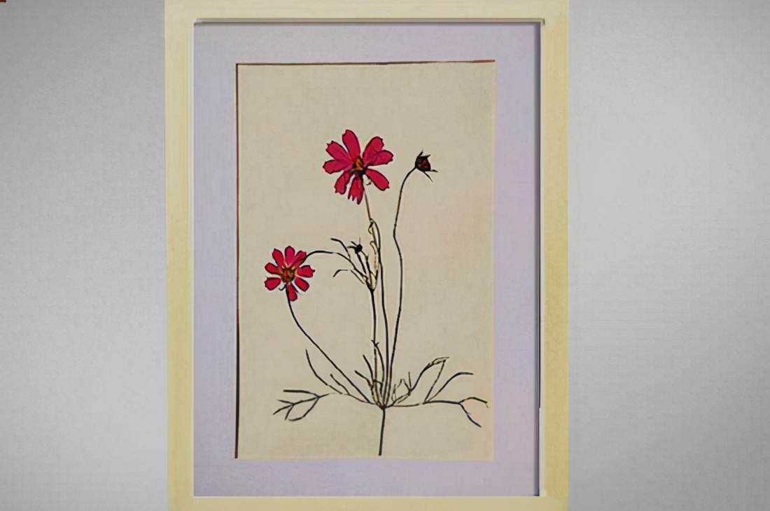 标本制作植物树叶,植物标本塑封制作方法