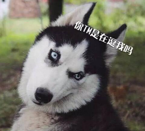 厨房鸡肋家电有哪些,家电买什么是鸡肋