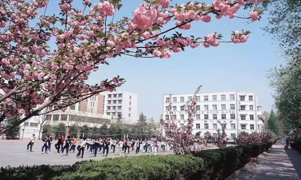 西安最牛学校排名,西安十大中学