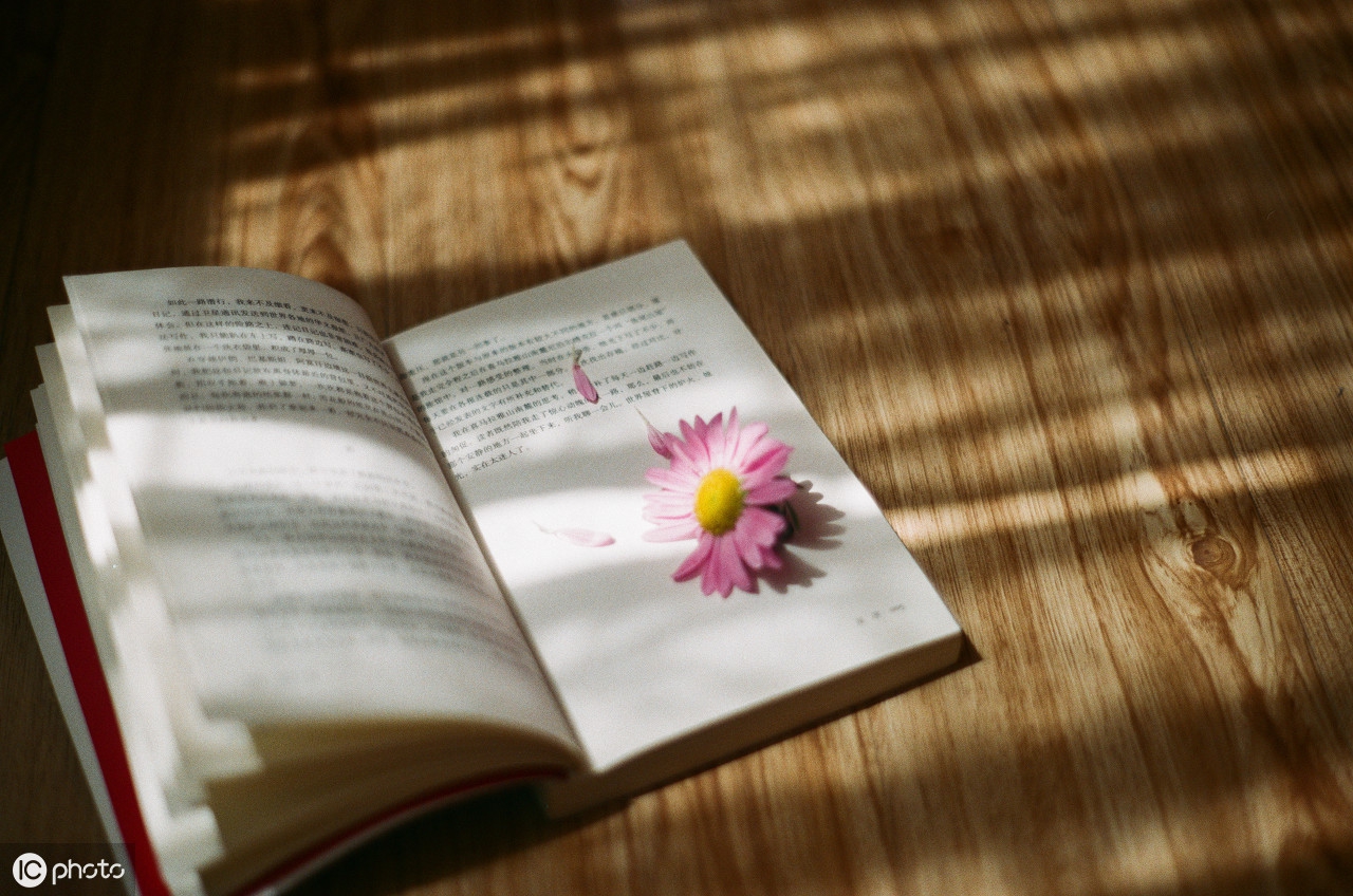 成年人零基础学英语，应该怎么规划?