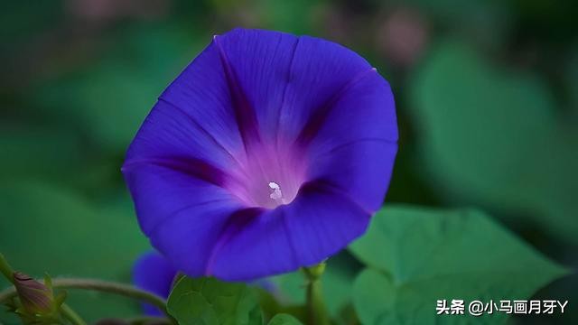 千字文作者周兴嗣简介,《千字文》全文注音版打印图片