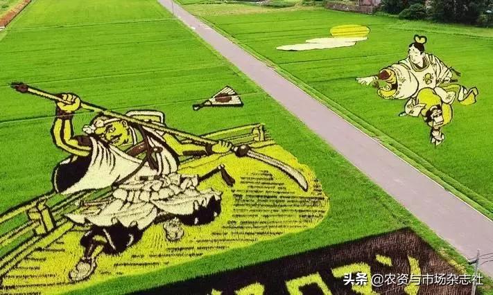 日本农业成功的主要经验,中国和日本农业差距50年