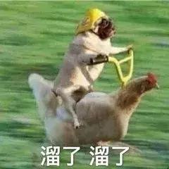 “2019年，我朋友圈的代购都疯了哈哈哈哈哈哈哈”