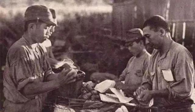 区区一个脚气病，差点灭掉日本*队军**，还改变了日本的国运……